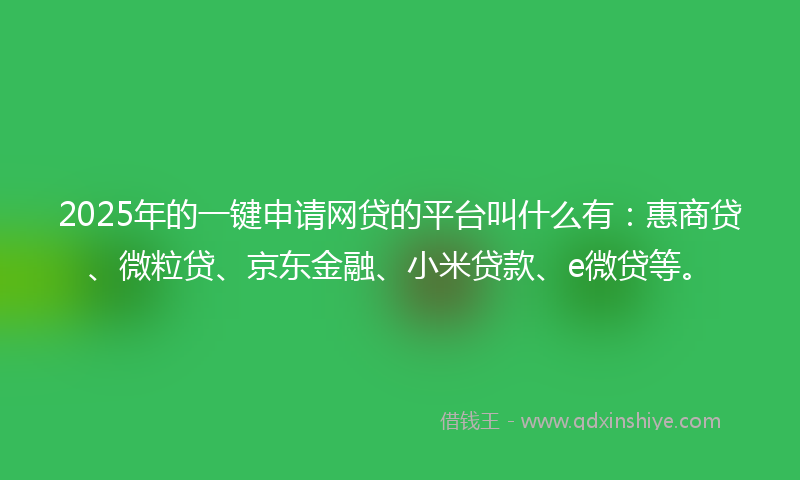 2025年的一键申请网贷的平台叫什么有：惠商贷、微粒贷、京东金融、小米贷款、e微贷等。