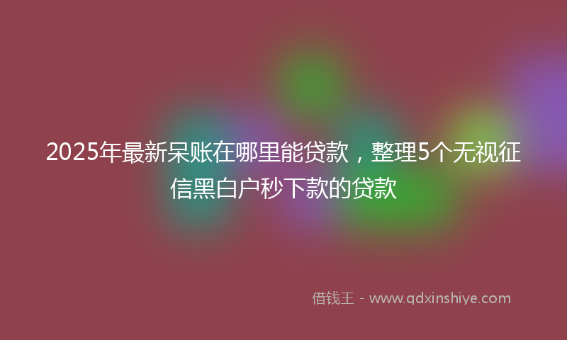 2025年最新呆账在哪里能贷款，整理5个无视征信黑白户秒下款的贷款