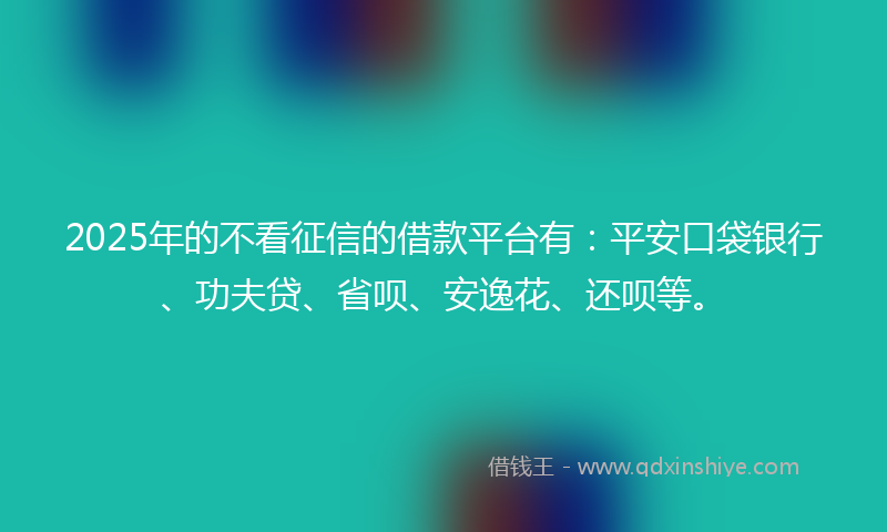 2025年的不看征信的借款平台有：平安口袋银行、功夫贷、省呗、安逸花、还呗等。