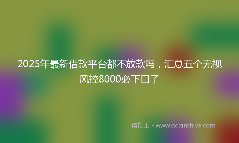 2025年最新借款平台都不放款吗，汇总五个无视风控8000必下口子