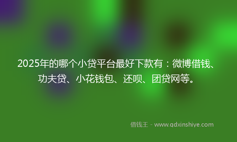 2025年的哪个小贷平台最好下款有：微博借钱、功夫贷、小花钱包、还呗、团贷网等。