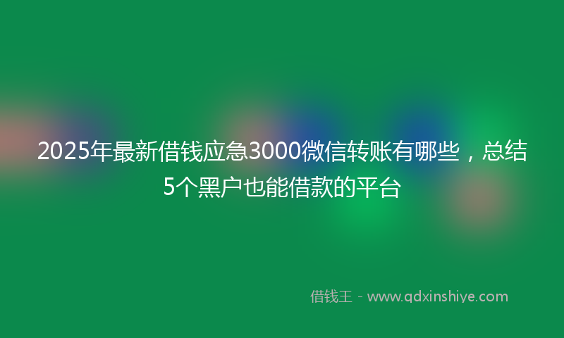 2025年最新借钱应急3000微信转账有哪些，总结5个黑户也能借款的平台