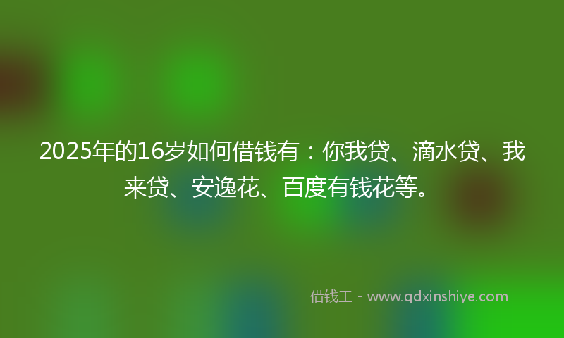 2025年的16岁如何借钱有：你我贷、滴水贷、我来贷、安逸花、百度有钱花等。