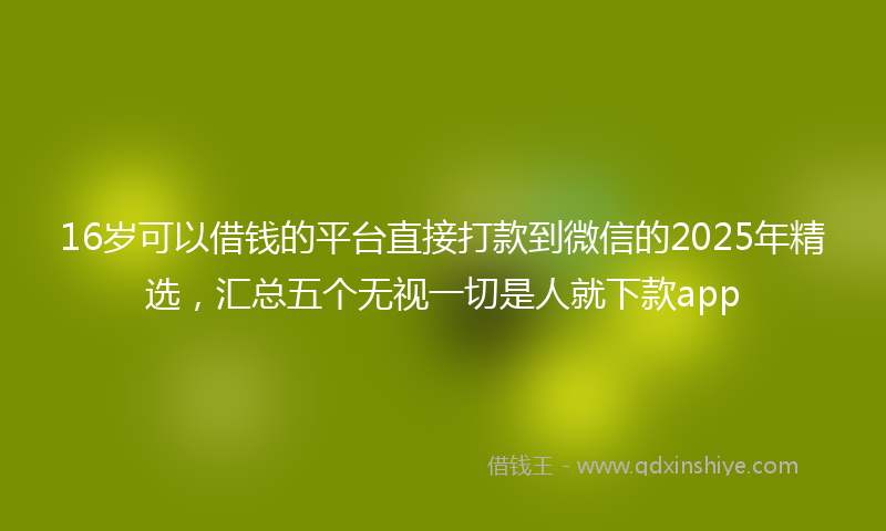 16岁可以借钱的平台直接打款到微信的2025年精选，汇总五个无视一切是人就下款app