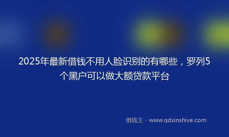 2025年最新借钱不用人脸识别的有哪些，罗列5个黑户可以做大额贷款平台