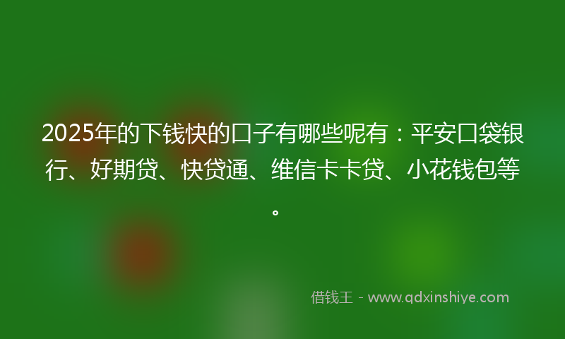 2025年的下钱快的口子有哪些呢有：平安口袋银行、好期贷、快贷通、维信卡卡贷、小花钱包等。