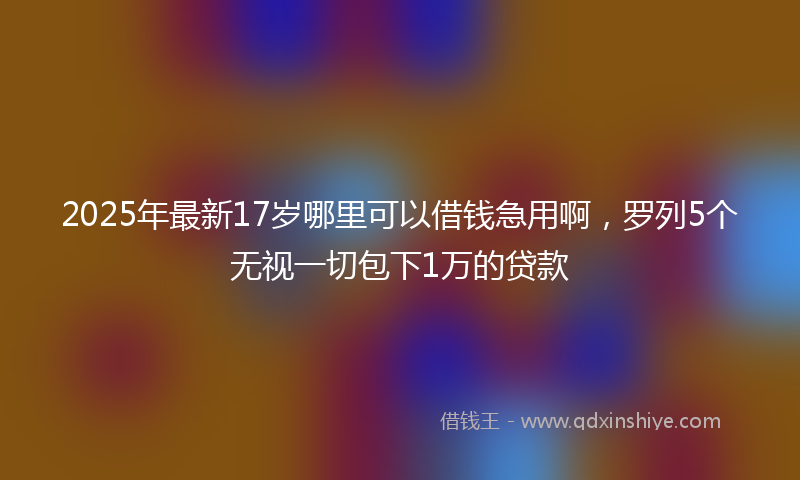 2025年最新17岁哪里可以借钱急用啊，罗列5个无视一切包下1万的贷款