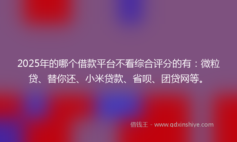 2025年的哪个借款平台不看综合评分的有：微粒贷、替你还、小米贷款、省呗、团贷网等。