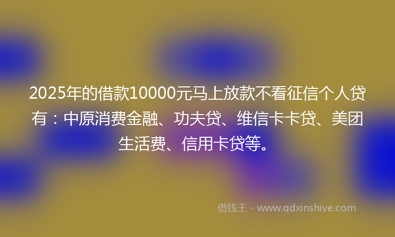 2025年的借款10000元马上放款不看征信个人贷有：中原消费金融、功夫贷、维信卡卡贷、美团生活费、信用卡贷等。