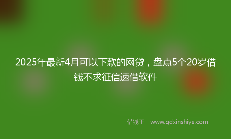 2025年最新4月可以下款的网贷，盘点5个20岁借钱不求征信速借软件