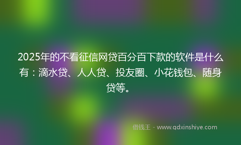 2025年的不看征信网贷百分百下款的软件是什么有：滴水贷、人人贷、投友圈、小花钱包、随身贷等。