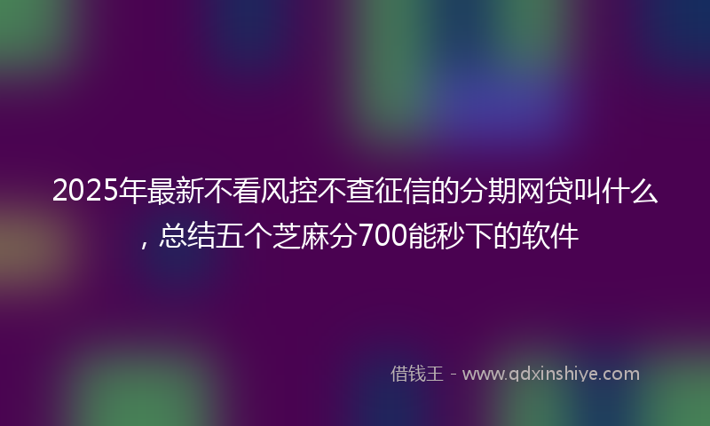2025年最新不看风控不查征信的分期网贷叫什么，总结五个芝麻分700能秒下的软件
