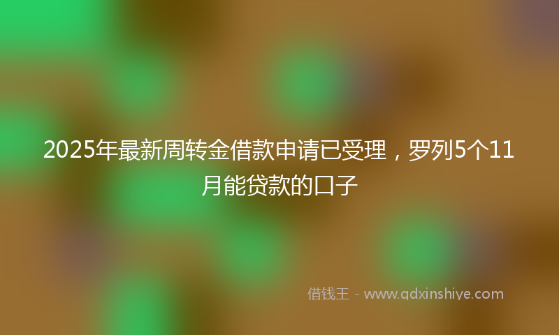 2025年最新周转金借款申请已受理，罗列5个11月能贷款的口子