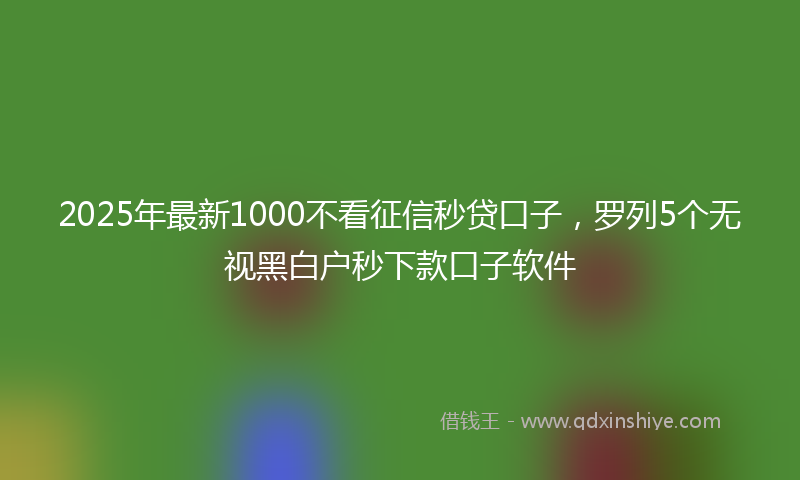 2025年最新1000不看征信秒贷口子，罗列5个无视黑白户秒下款口子软件