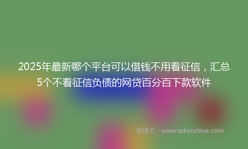 2025年最新哪个平台可以借钱不用看征信，汇总5个不看征信负债的网贷百分百下款软件