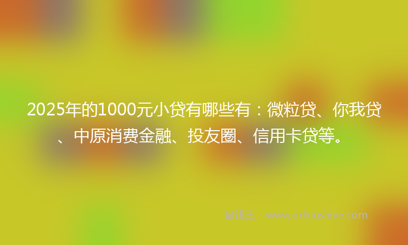 2025年的1000元小贷有哪些有：微粒贷、你我贷、中原消费金融、投友圈、信用卡贷等。