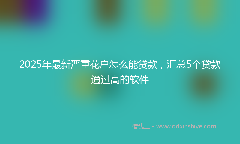2025年最新严重花户怎么能贷款，汇总5个贷款通过高的软件