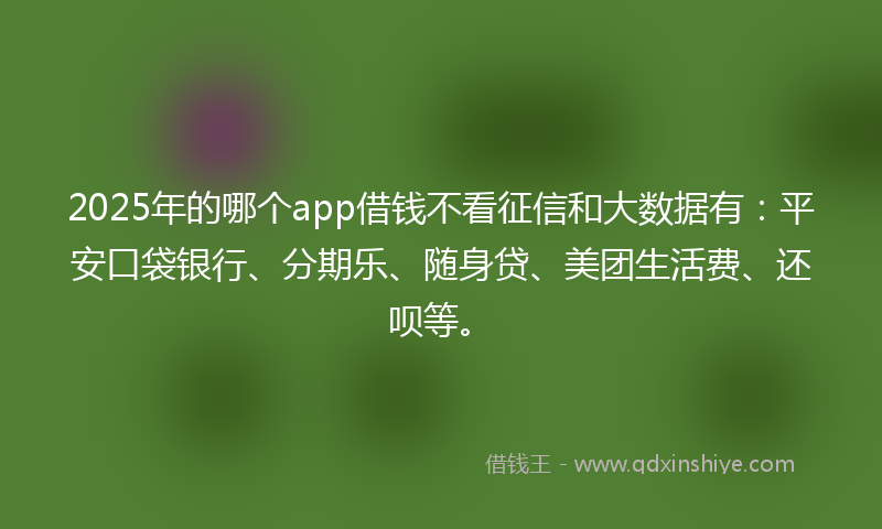 2025年的哪个app借钱不看征信和大数据有：平安口袋银行、分期乐、随身贷、美团生活费、还呗等。