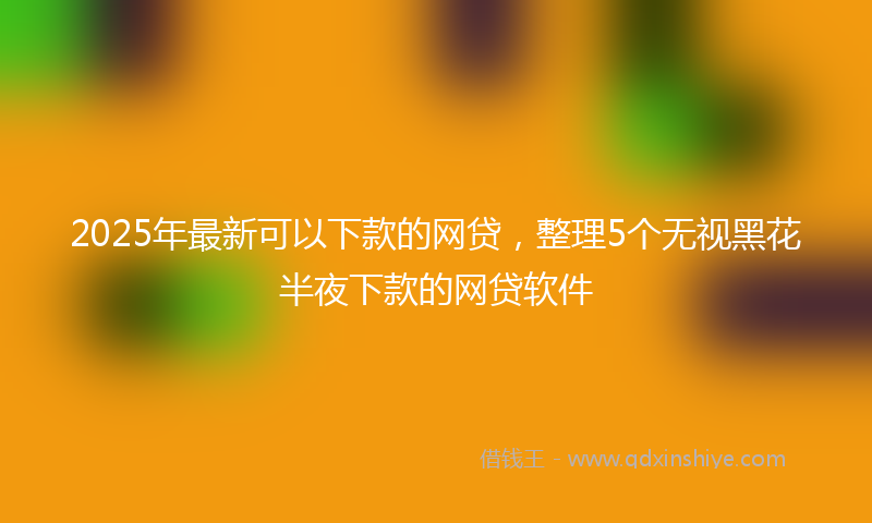 2025年最新可以下款的网贷，整理5个无视黑花半夜下款的网贷软件