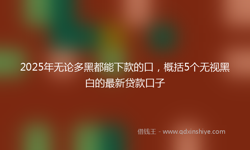 2025年无论多黑都能下款的口，概括5个无视黑白的最新贷款口子