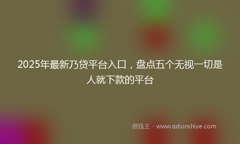 2025年最新乃贷平台入口，盘点五个无视一切是人就下款的平台