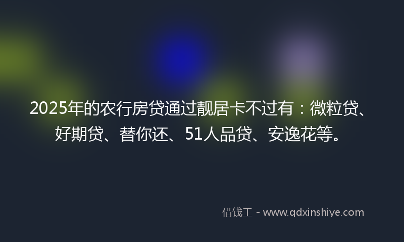 2025年的农行房贷通过靓居卡不过有：微粒贷、好期贷、替你还、51人品贷、安逸花等。