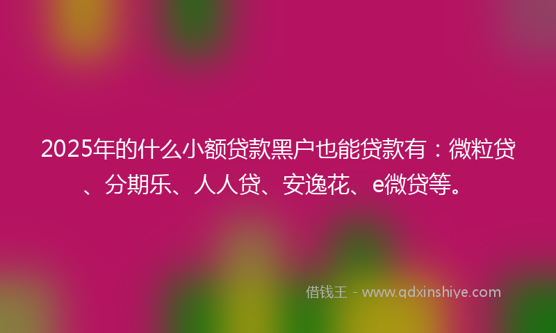 2025年的什么小额贷款黑户也能贷款有：微粒贷、分期乐、人人贷、安逸花、e微贷等。