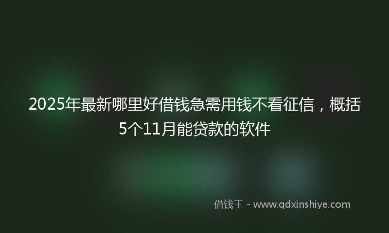 2025年最新哪里好借钱急需用钱不看征信，概括5个11月能贷款的软件