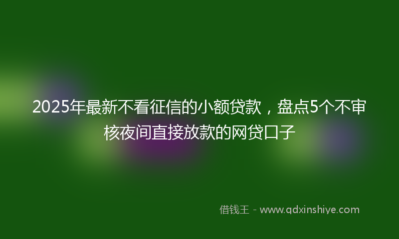 2025年最新不看征信的小额贷款，盘点5个不审核夜间直接放款的网贷口子