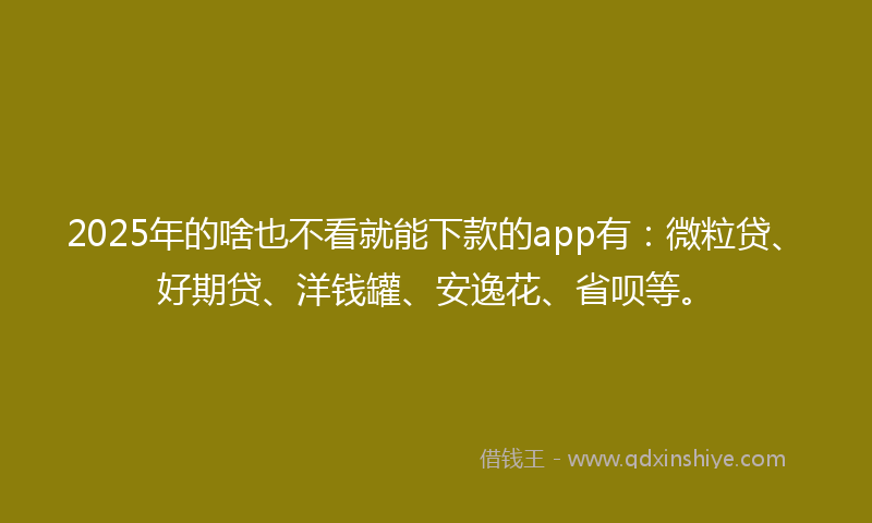 2025年的啥也不看就能下款的app有：微粒贷、好期贷、洋钱罐、安逸花、省呗等。