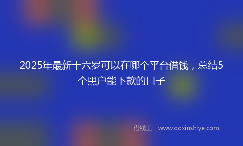 2025年最新十六岁可以在哪个平台借钱，总结5个黑户能下款的口子