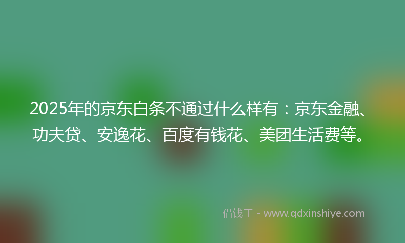 2025年的京东白条不通过什么样有：京东金融、功夫贷、安逸花、百度有钱花、美团生活费等。