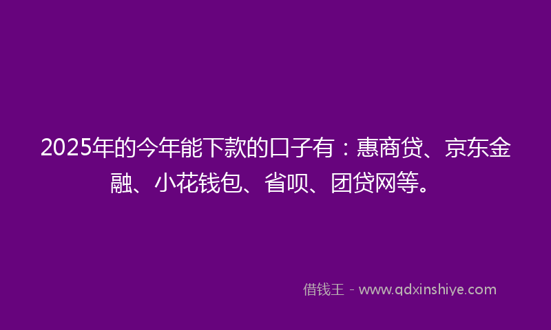 2025年的今年能下款的口子有：惠商贷、京东金融、小花钱包、省呗、团贷网等。