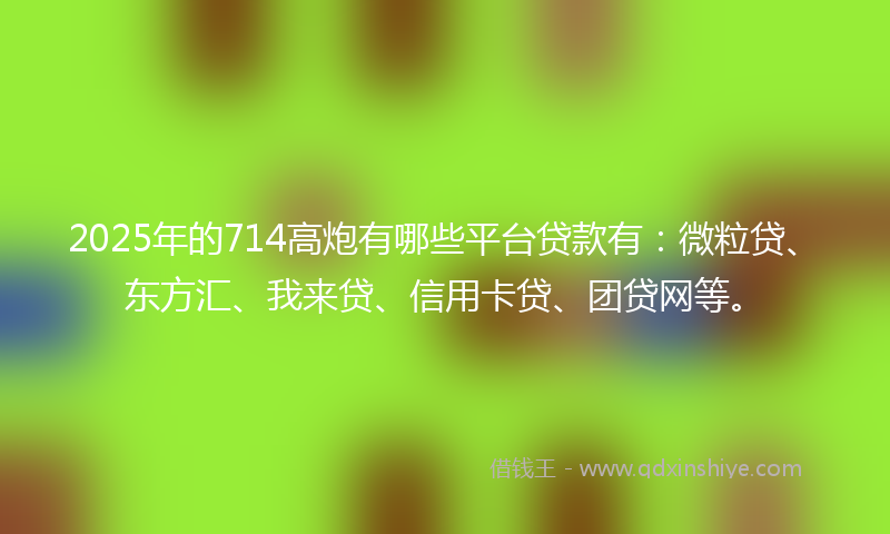 2025年的714高炮有哪些平台贷款有：微粒贷、东方汇、我来贷、信用卡贷、团贷网等。