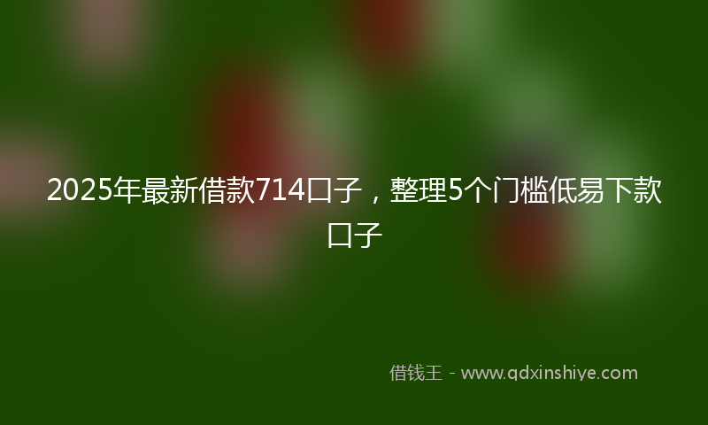 2025年最新借款714口子，整理5个门槛低易下款口子