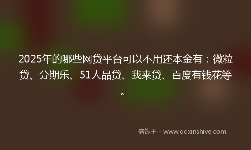 2025年的哪些网贷平台可以不用还本金有：微粒贷、分期乐、51人品贷、我来贷、百度有钱花等。