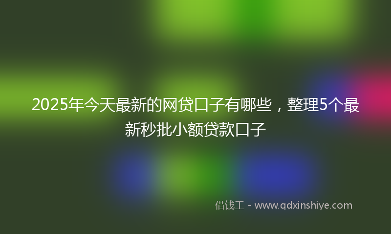 2025年今天最新的网贷口子有哪些，整理5个最新秒批小额贷款口子