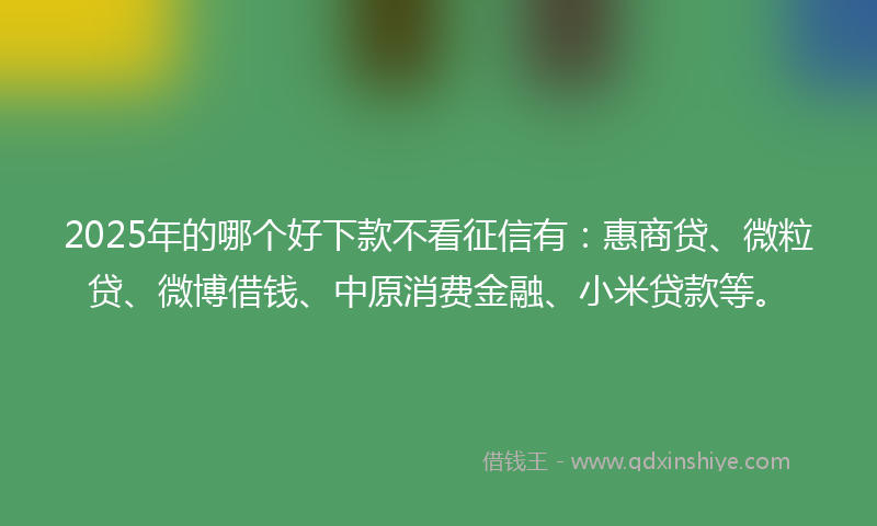 2025年的哪个好下款不看征信有：惠商贷、微粒贷、微博借钱、中原消费金融、小米贷款等。