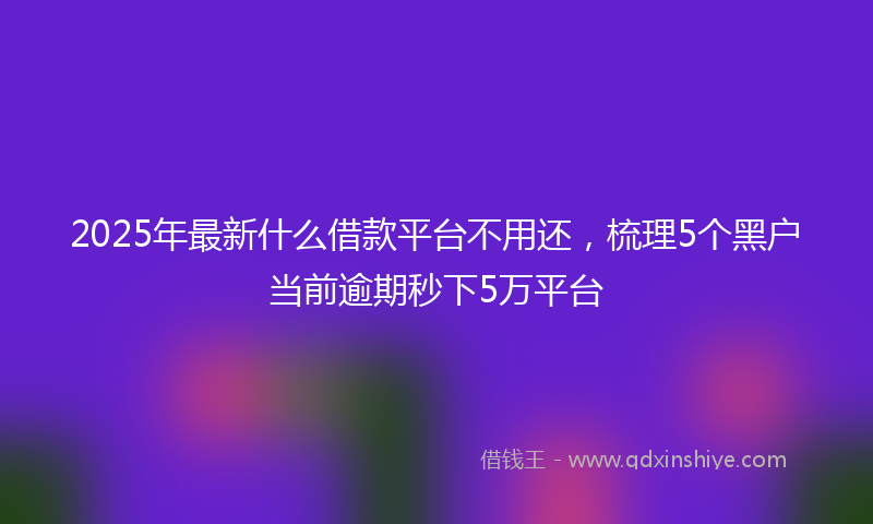 2025年最新什么借款平台不用还，梳理5个黑户当前逾期秒下5万平台