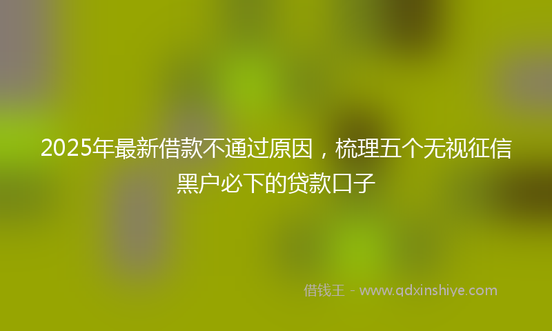 2025年最新借款不通过原因，梳理五个无视征信黑户必下的贷款口子