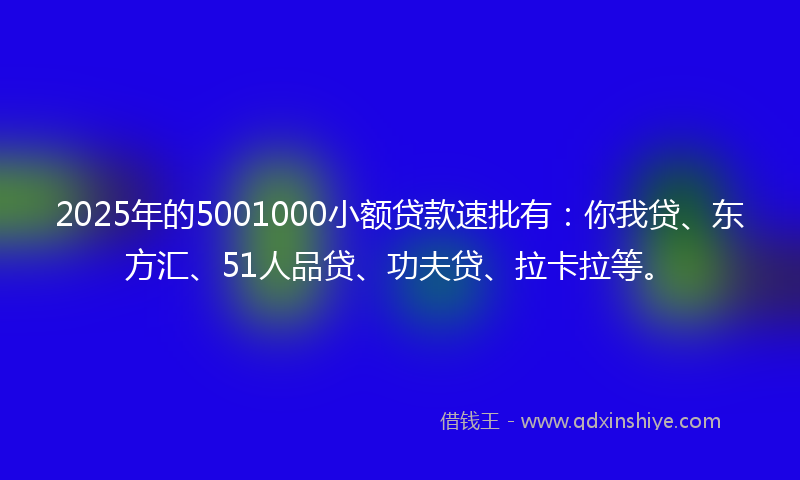 2025年的5001000小额贷款速批有：你我贷、东方汇、51人品贷、功夫贷、拉卡拉等。