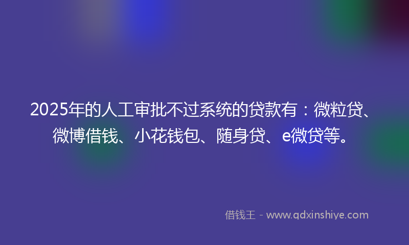 2025年的人工审批不过系统的贷款有：微粒贷、微博借钱、小花钱包、随身贷、e微贷等。