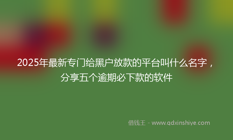 2025年最新专门给黑户放款的平台叫什么名字，分享五个逾期必下款的软件