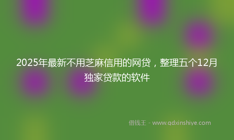 2025年最新不用芝麻信用的网贷，整理五个12月独家贷款的软件