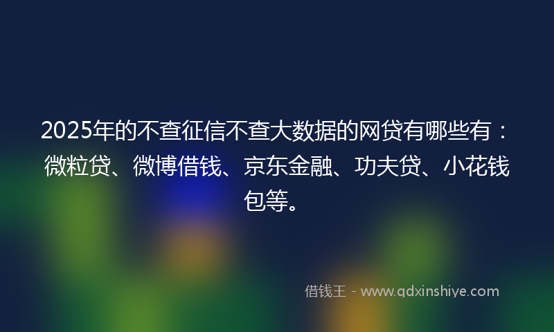 2025年的不查征信不查大数据的网贷有哪些有：微粒贷、微博借钱、京东金融、功夫贷、小花钱包等。