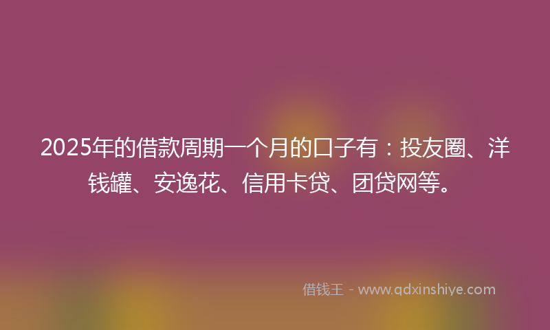 2025年的借款周期一个月的口子有：投友圈、洋钱罐、安逸花、信用卡贷、团贷网等。