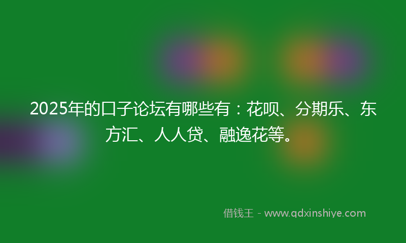 2025年的口子论坛有哪些有：花呗、分期乐、东方汇、人人贷、融逸花等。