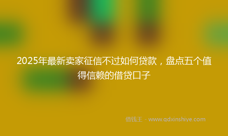 2025年最新卖家征信不过如何贷款，盘点五个值得信赖的借贷口子