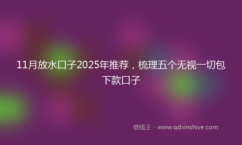 11月放水口子2025年推荐，梳理五个无视一切包下款口子