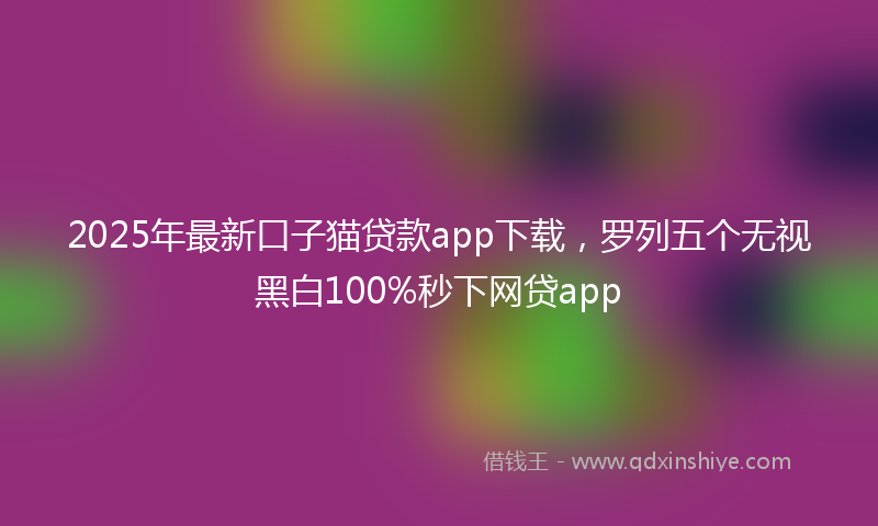 2025年最新口子猫贷款app下载，罗列五个无视黑白100%秒下网贷app